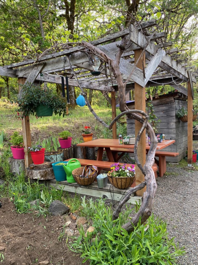 Picnic table under wooden frame. roof lined with vining plants. Potted plants on stumps in bright color pots.