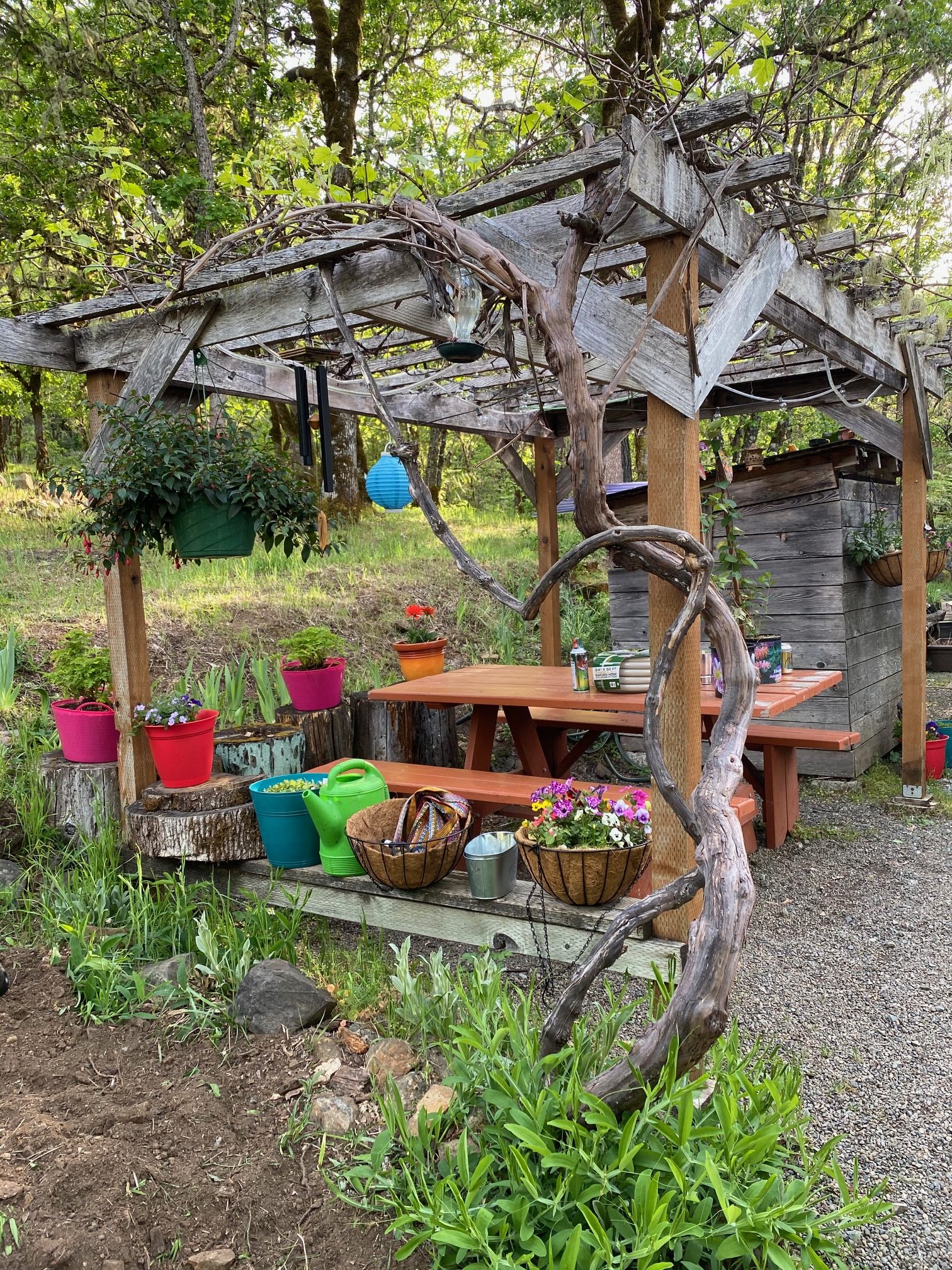 A picnic table under a wooden frame structure